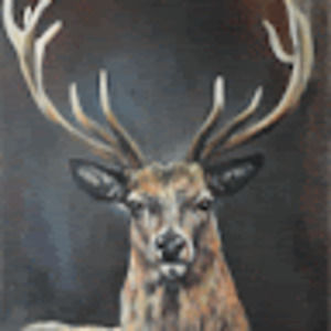 Meet your Posher, Tristan